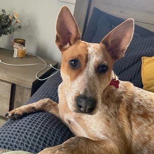 Meet your Posher, Georgia